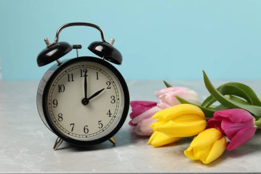 Bahar geldi. Çalar saat ve gri mermer masa üzerindeki güzel laleler açık mavi arkaplana karşı