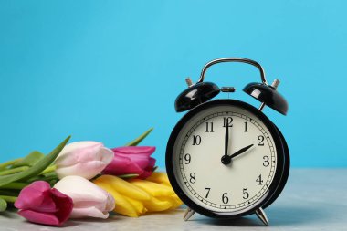 Bahar geldi. Çalar saat ve gri mermer masa üzerindeki güzel laleler açık mavi arkaplana karşı