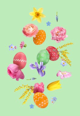 Paskalya yumurtaları ve güzel bahar çiçekleri pastel yeşil arka planda uçuşuyor.