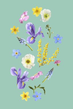 Turkuaz arka planda uçan güzel bahar çiçekleri