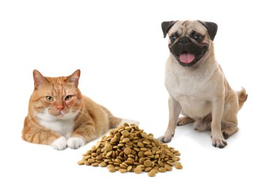 Kedi ve köpek, beyaz arka planda hayvan maması yığınının yanında.