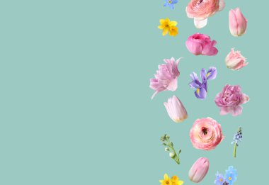 Turkuaz arka planda uçuşan güzel bahar çiçekleri. Metin için boşluk