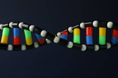 Koyu arkaplanda DNA yapısı modeli, yakın plan