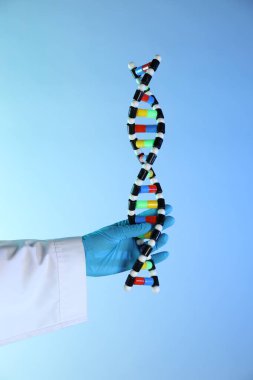 Renk arkaplanı üzerinde DNA yapı modeline sahip bilim adamı, yakın plan