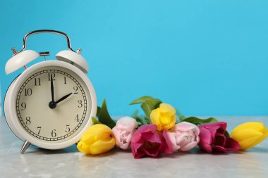 Bahar geldi. Çalar saat ve gri mermer masa üzerindeki güzel laleler açık mavi arkaplana karşı