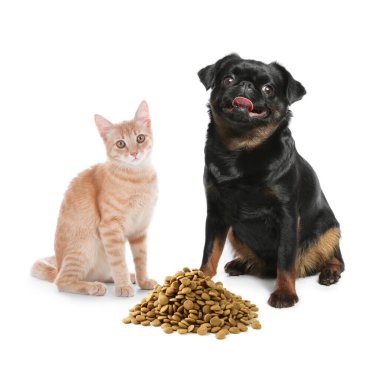 Kedi ve köpek, beyaz arka planda hayvan maması yığınının yanında.