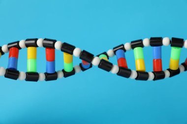 Açık mavi arkaplanda DNA yapısı modeli, yakın plan