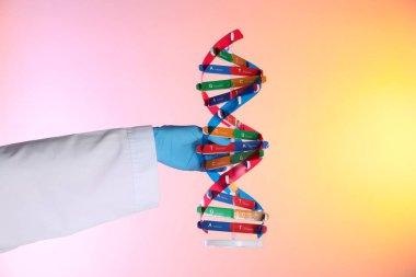 Renk arkaplanı üzerinde DNA yapı modeline sahip bilim adamı, yakın plan