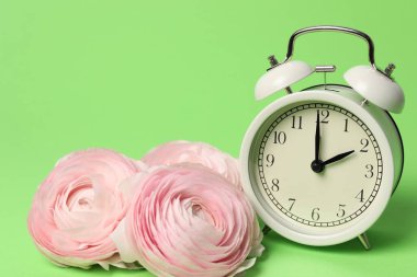 Bahar geldi. Alarm saati ve yeşil arka planda güzel ranunculus çiçekleri, yakın plan.
