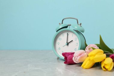 Bahar geldi. Alarm saati ve gri mermer masadaki güzel laleler açık mavi arkaplan, metin için boşluk
