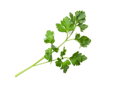 Beyaz maydanozlu taze maydanoz.