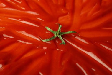 Slathered ketchup as smashed tomato, closeup view clipart