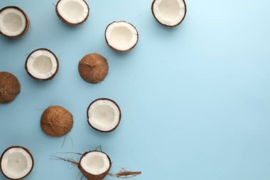 Açık mavi arka planda taze hindistan cevizleri, düz bir zemin. Metin için boşluk