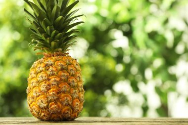 Taze olgun ananas ahşap masa üzerinde bulanık arkaplan, metin için boşluk
