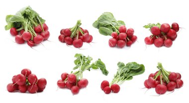 Birçok taze turp beyaz üzerine izole edilmiş.