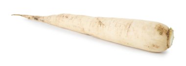 Taze şalgam beyazı izole etmiş. Sebze kökü