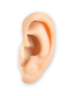 İnsan kulağı beyaz, yakın görüntüde izole.