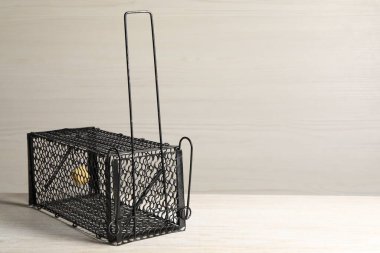 Hafif ahşap masada yem olan metal bir fare tuzağı. Metin için boşluk