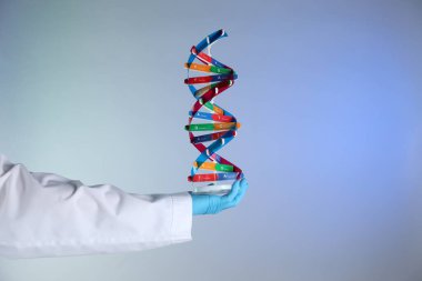 Renk arkaplanı üzerinde DNA yapı modeline sahip bilim adamı, yakın plan