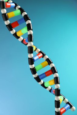 Açık mavi arkaplanda DNA yapısı modeli, yakın plan