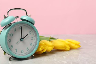 Bahar geldi. Alarm saati ve gri mermer masanın üzerindeki güzel laleler pembe arka plana karşı, yakın plan.