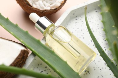 Saç tedavisi. Kozmetik ürünler, hindistan cevizi, tereyağı talaşı ve bej arka planda aloe yaprakları, yakın plan.