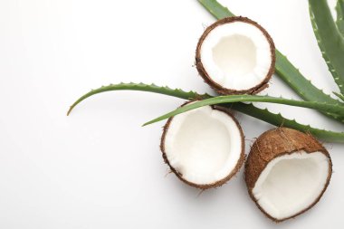 Saç tedavisi. Beyaz arka planda hindistan cevizi ve aloe yaprakları düz. Metin için boşluk
