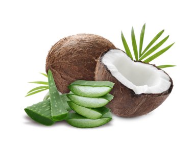 Hindistan cevizleri, aloe vera ve palmiye yaprakları beyaz üzerine izole