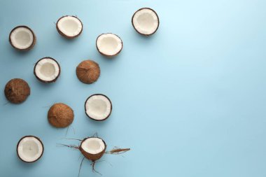 Açık mavi arka planda taze hindistan cevizleri, düz bir zemin. Metin için boşluk