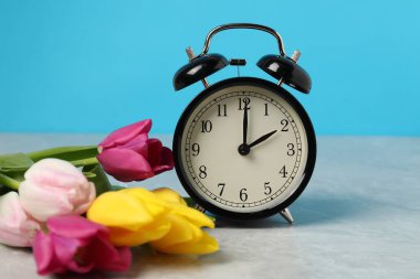 Bahar geldi. Çalar saat ve gri mermer masa üzerindeki güzel laleler açık mavi arkaplana karşı