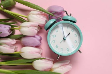 Bahar geldi. Alarm saati ve pembe arka planda güzel laleler, düz uzanmış.