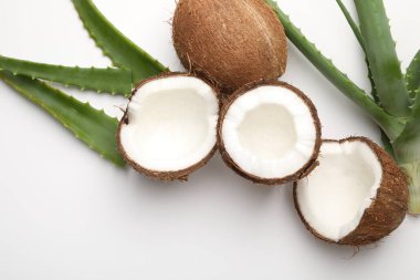 Saç tedavisi. Beyaz arka planda hindistan cevizi ve aloe yaprakları düz.