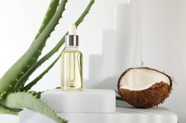 Saç tedavisi. Kozmetik ürünler, hindistan cevizi ve beyaz arka planda aloe yaprakları. Metin için boşluk