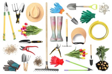 Farklı bahçe aletleri ve bitkiler beyaz üzerine izole