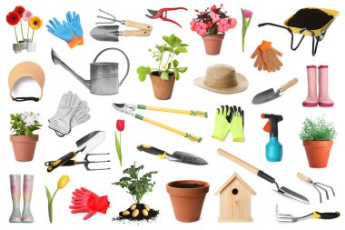 Farklı bahçe aletleri ve bitkiler beyaz üzerine izole