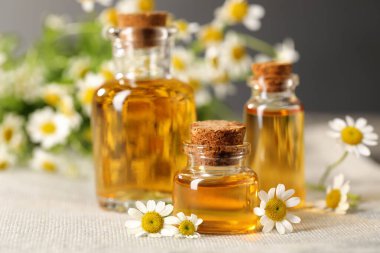 Kumaş üzerinde gerekli yağ ve papatya çiçekleri, yakın plan.