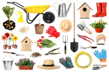 Farklı bahçe aletleri ve bitkiler beyaz üzerine izole