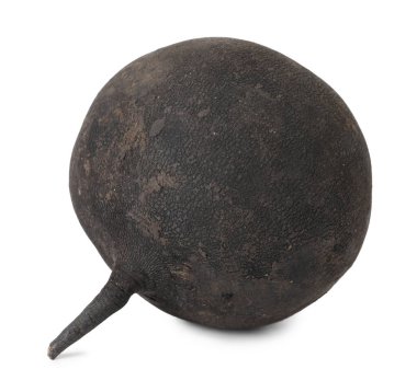 Bir siyah şalgam beyaza izole edilmiş. Sebze kökü