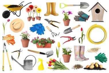 Farklı bahçe aletleri ve bitkiler beyaz üzerine izole