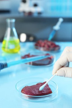 GDO konsepti. Laboratuvarda, laboratuvarda çubuk ve et parçasıyla çalışan bir bilim adamı.