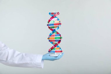 Beyaz arka planda DNA yapısını tutan bilim adamı, yakın plan