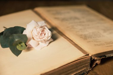 Güzel çiçek tomurcuğu ve okaliptüs dallı açık bir kitap. Tahta masa üzerinde, yakın plan.