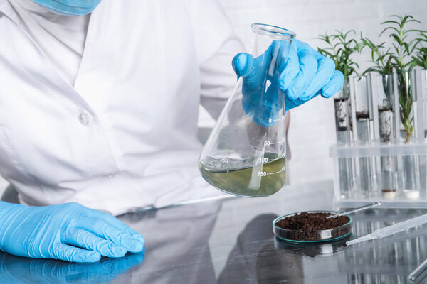 Laboratory testing. Scientist holding flask with sample at table indoors, closeup