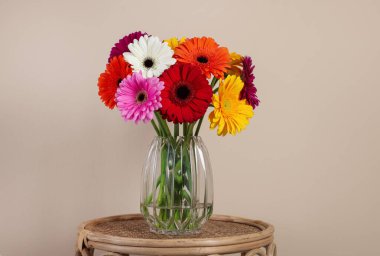 Bir buket güzel Gerbera çiçeği bej arka planda.