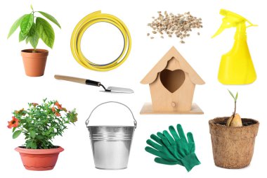 Farklı bahçe aletleri ve bitkiler beyaz üzerine izole