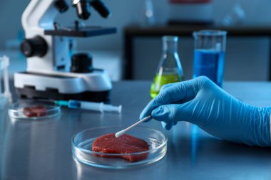 GDO konsepti. Laboratuvarda, laboratuvarda çubuk ve et parçasıyla çalışan bir bilim adamı.