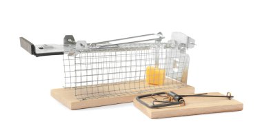 İki fare kapanı ve beyaza izole edilmiş peynir