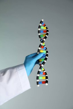 Renk arkaplanı üzerinde DNA yapı modeline sahip bilim adamı, yakın plan