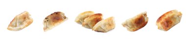 Beyaz arka planda lezzetli kızarmış gyoza (hamur tatlısı), hazır