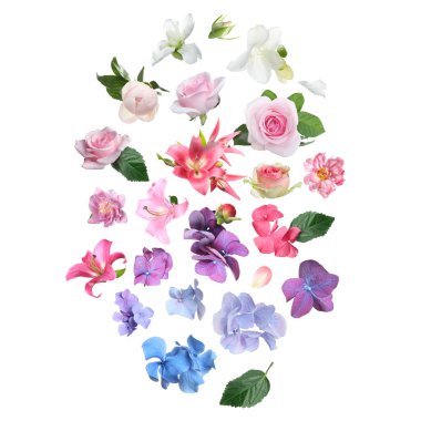 Beyaz arka plana düşen güzel çiçekler ve yeşil yapraklar